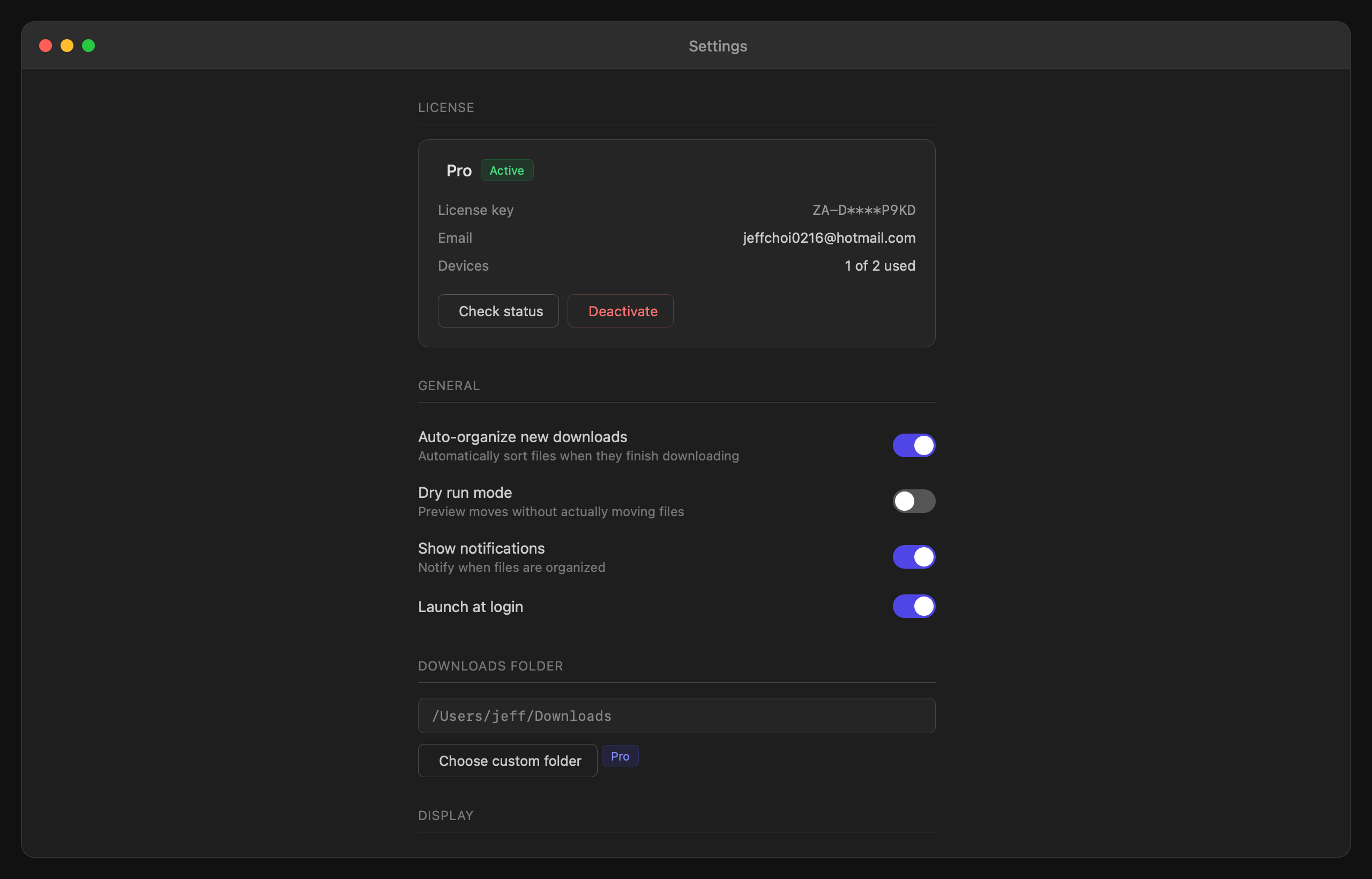 Settings with Pro license active