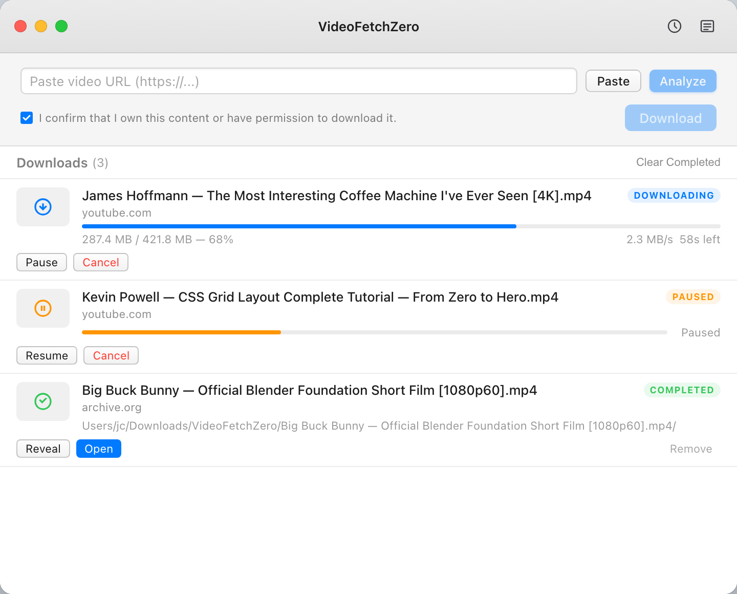 Download queue showing an active download, a paused download, and a completed file
